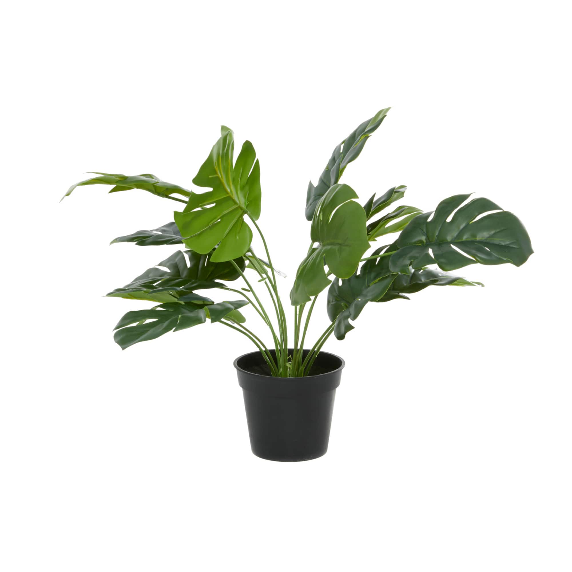 Green Plastic Traditional Artificial Foliage, 16" x 21" x 20"